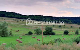Teren intravilan 50 ari,Livezeni,iesire catre Ivanesti,28 eu/mp - Poză 2