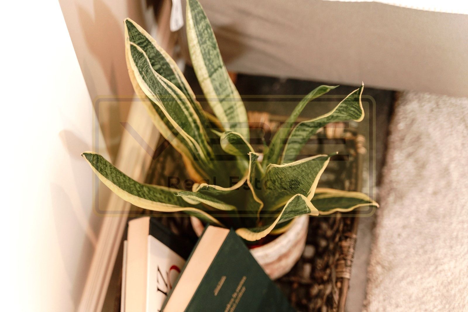 Apartament 2 camere premium+parcare  Centru - 5 min Amazon Palas Mall - Poză 21