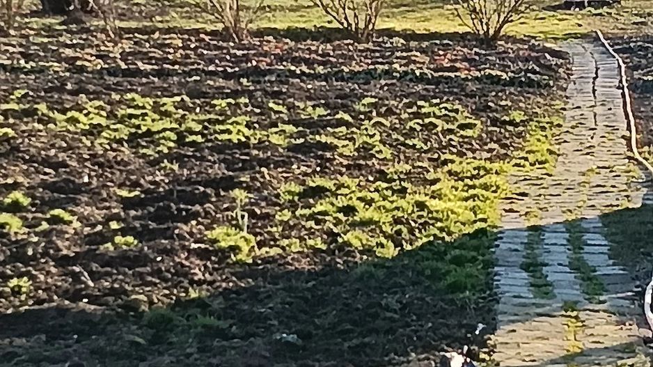 Mă vinde ușor și rapid!!! - Poză 2