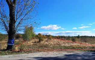 TEREN INTRAVILAN ȘI EXTRAVILAN BAIA DE FIER