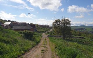 Teren | S+P+E | S+P+M | Intravilan | 9826 MP | Sura Mare - Poză 5