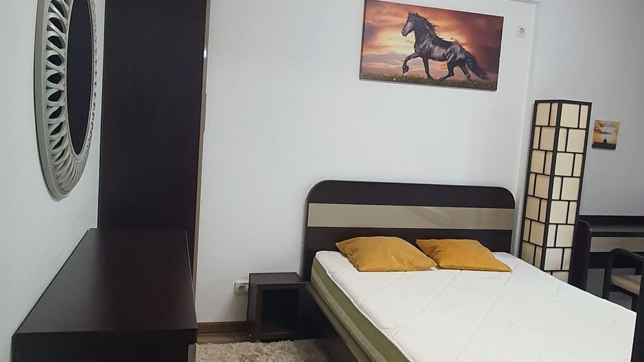2 camere centrală + parcare Obor - Mosilor IM111 - Poză 10