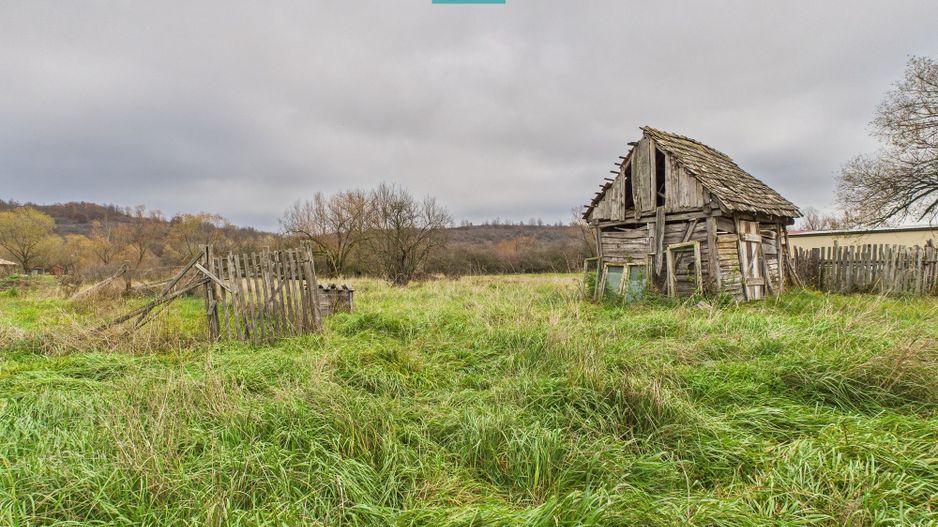 Casă, anexă şi grădină – Dorgoş - Poză 10