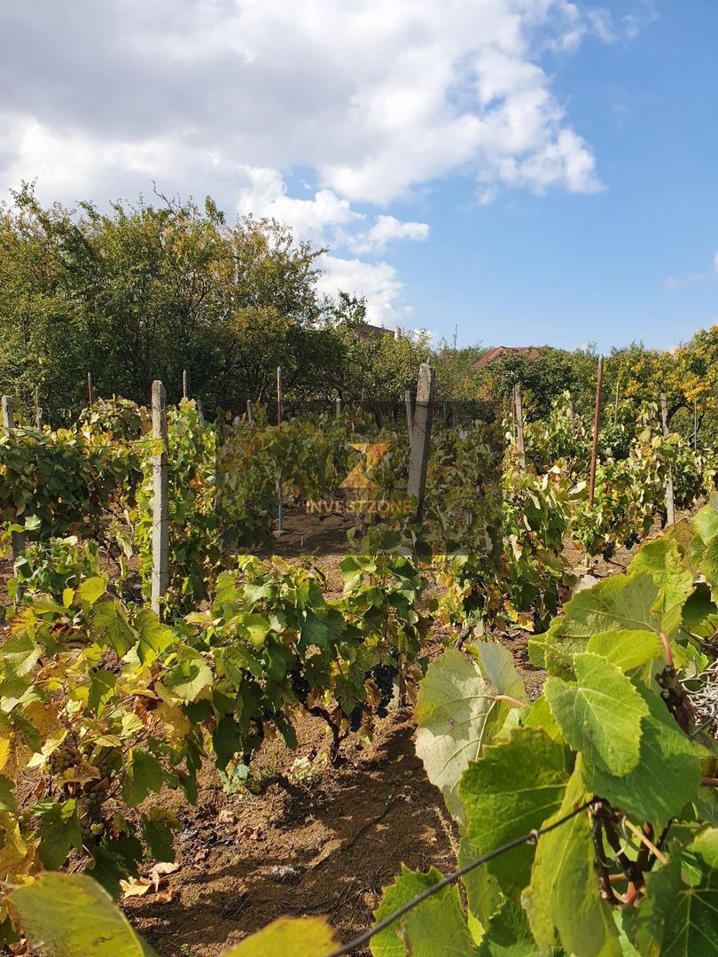 Teren cu utilități 2052 mp - Oradea - str. Făgetului - Poză 13