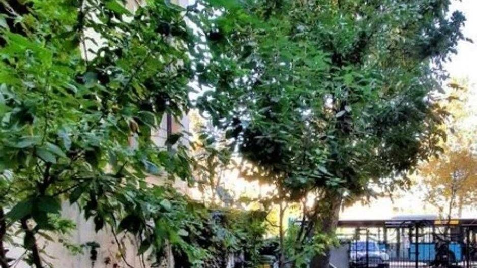 PIATA ROMANA, Proprietar , apartament 3 camere in vila - Poză 7