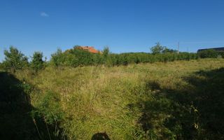 Teren  8 227 mp + Casa demolabila de vanzare in Filiasi -  Fratostita Dolj - Poză 7
