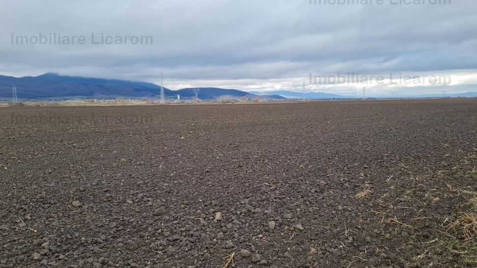 Teren Agricol 2,9 HA,intre Cristian si Vulcan/teren SPORT - Poză 4