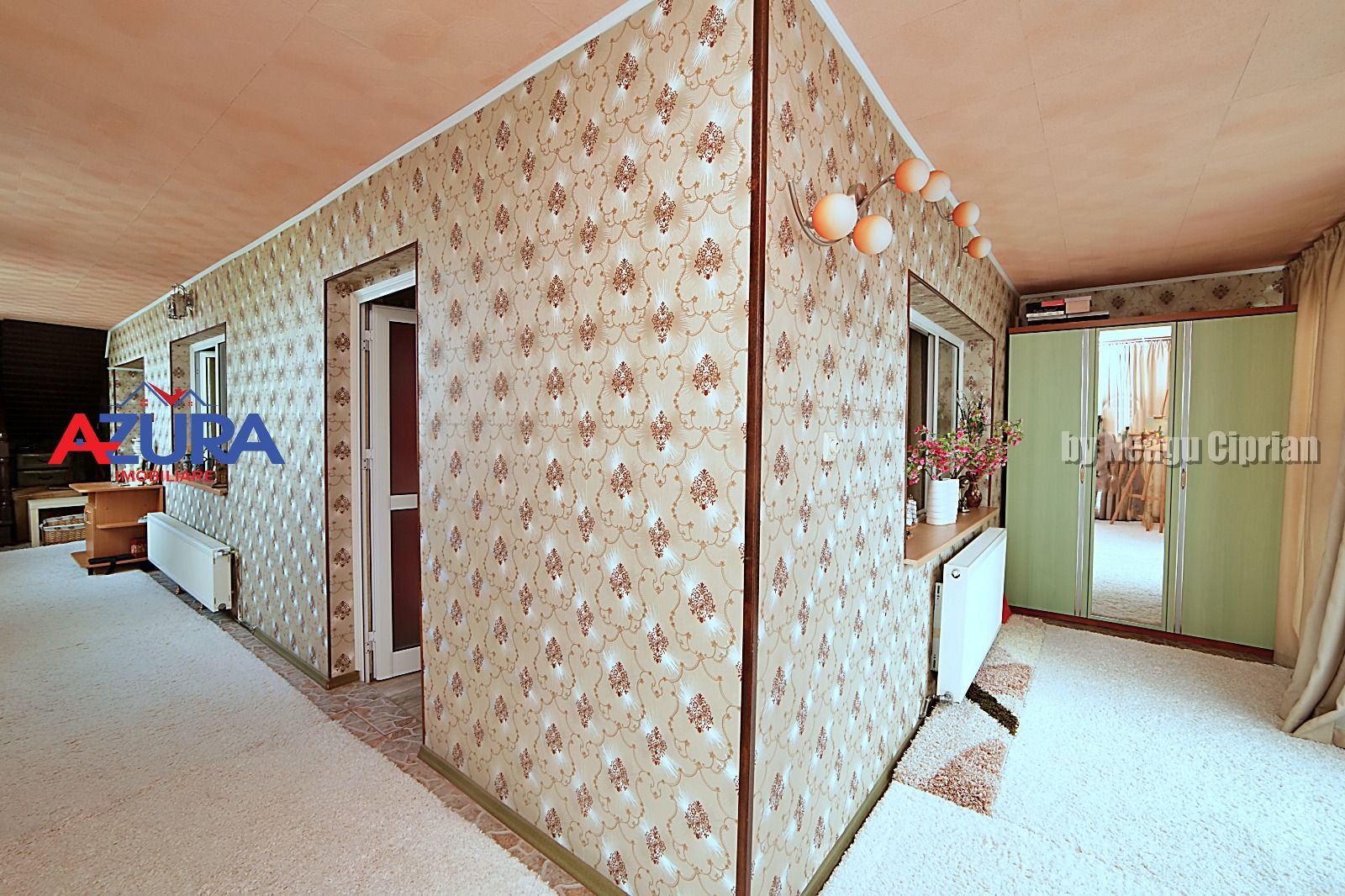 Vanzare Casa Gavana - deasupra Parcului Lumina - Poză 11