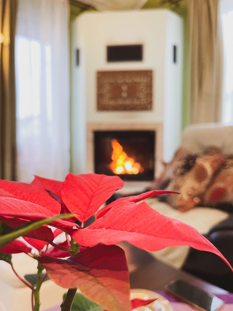 Duplex 5 camere | Interior 180 mpu, Teren 364 mp | Foisor & Garaj mare - Poză 7