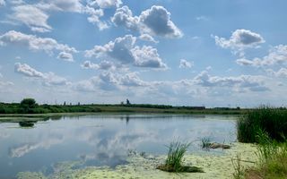 Teren Crevedia 62000 mp - Poză 2