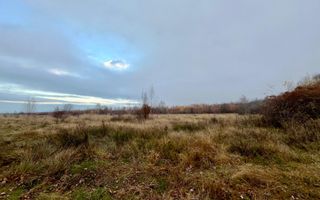 Teren extravilan 6.500 mp – două căi de acces, Cârțișoara - Poză 6