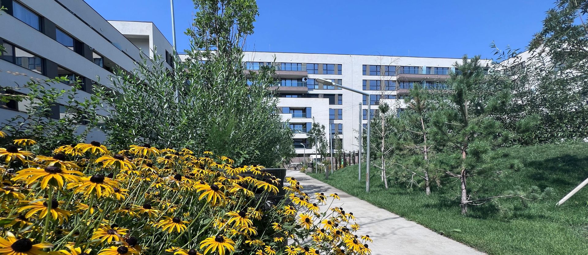 Apartament 4 camere 93,50 mp utili - Sector 1 Lacul Străulești - Poză 27