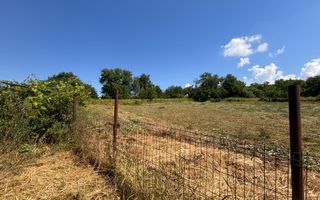 Casă bătrânească cu teren de 3.200 mp în Hertioana de Jos, jud.Bacău - Poză 15