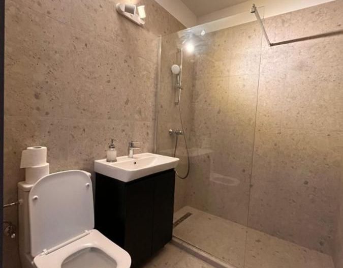 Apartament cu doua camere semidecomandat, piata Domenii - Poză 6