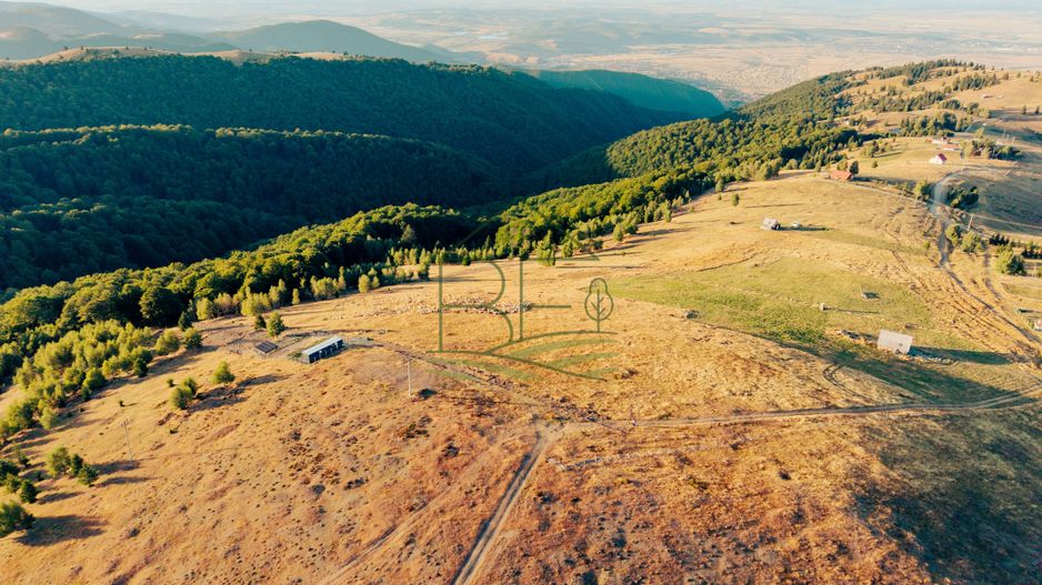 Păltiniș - Teren cu perspectivă panoramică pentru un refugiu în natură - Poză 2