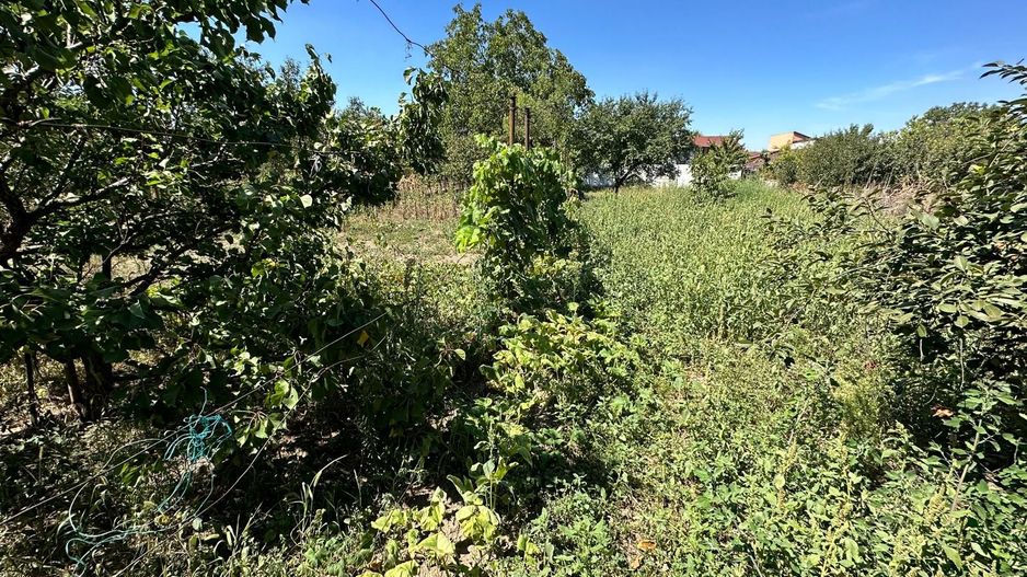 Casa cu teren 1394 mp zona Mehala - Poză 1