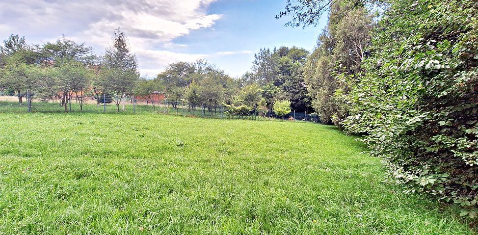 Bran Predelut teren intravilan de 2000mp, pret 27 euro/mp - Poză 3