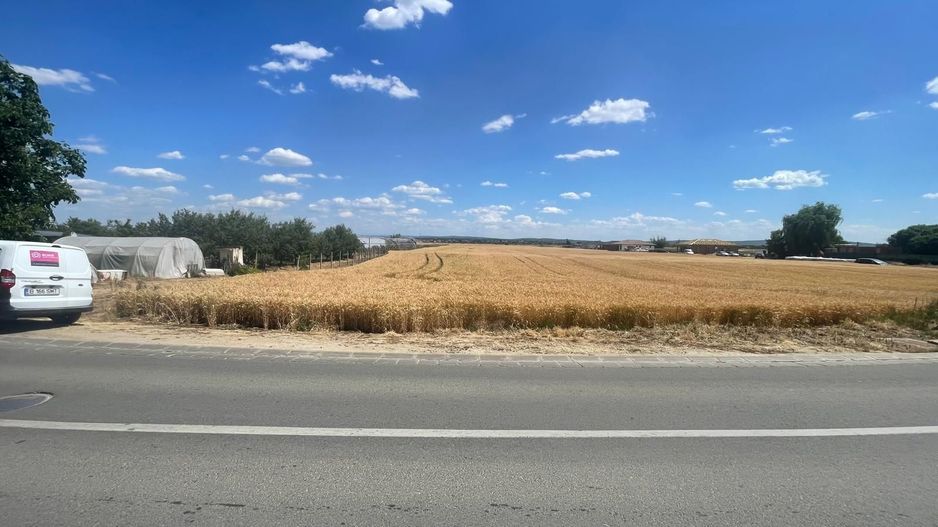 Teren intravilan in Podgoria pt parcelare șau construcții rezidențiale - Poză 6