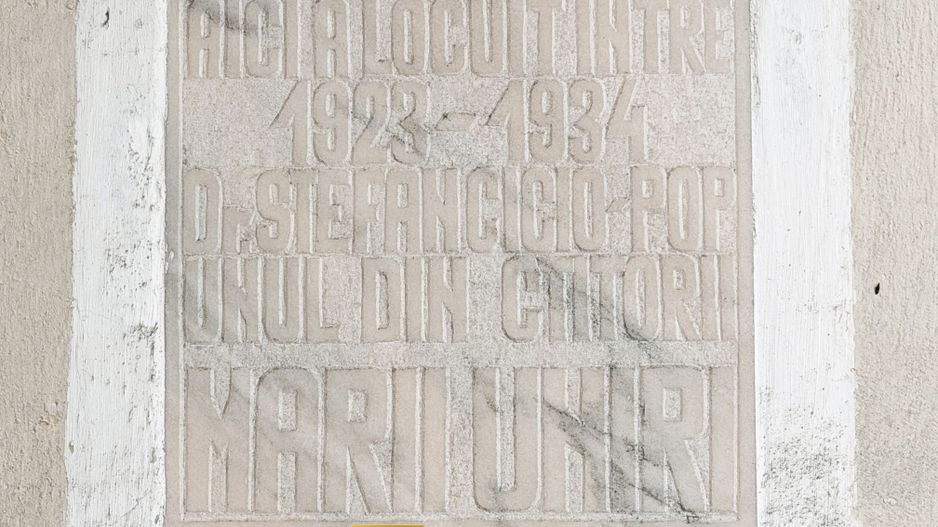 Castel istoric de vânzare în Conop | proprietatea lui Cicio Pop - Poză 12