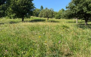 Teren Sohodol 5000 mp - Poză 8