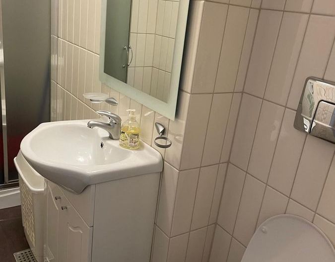 Apartament 3 camere, renovat, Timpuri Noi – Unirii - Poză 9