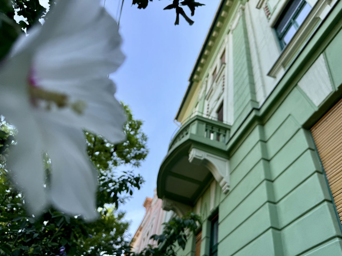 Apartament in clădire istorică P-ta Plevnei cu vedere parc - Poză 33