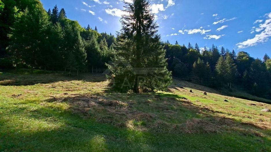 Teren intravilan la munte - Poză 1
