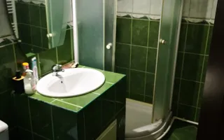 Apartament 2 camere- Brazda lui Novac, bd Dacia - Poză 11