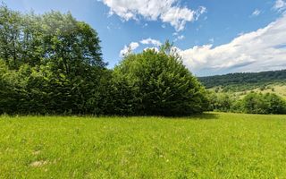 2,6 HA TEREN EXTRAVILAN FANEATA, in Muntii Apuseni, Negreni, jud. Cluj - Poză 2