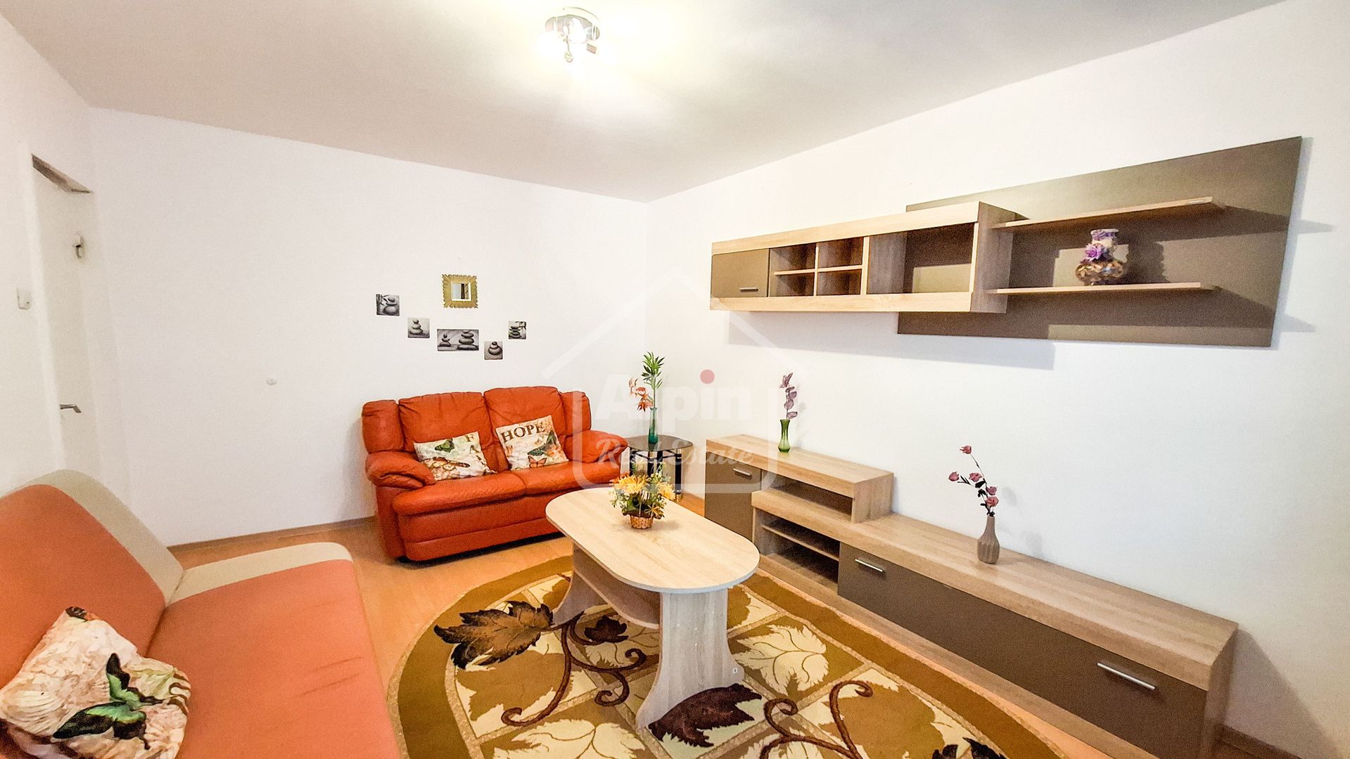 Suprafata Generoasa I Zona Gemenii - Poză 5