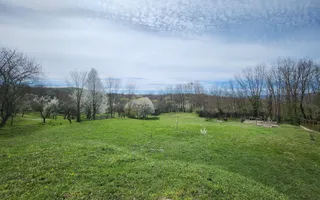 De vanzare casa 6 camere 8142 mp teren in Oarda de Sus - Poză 31