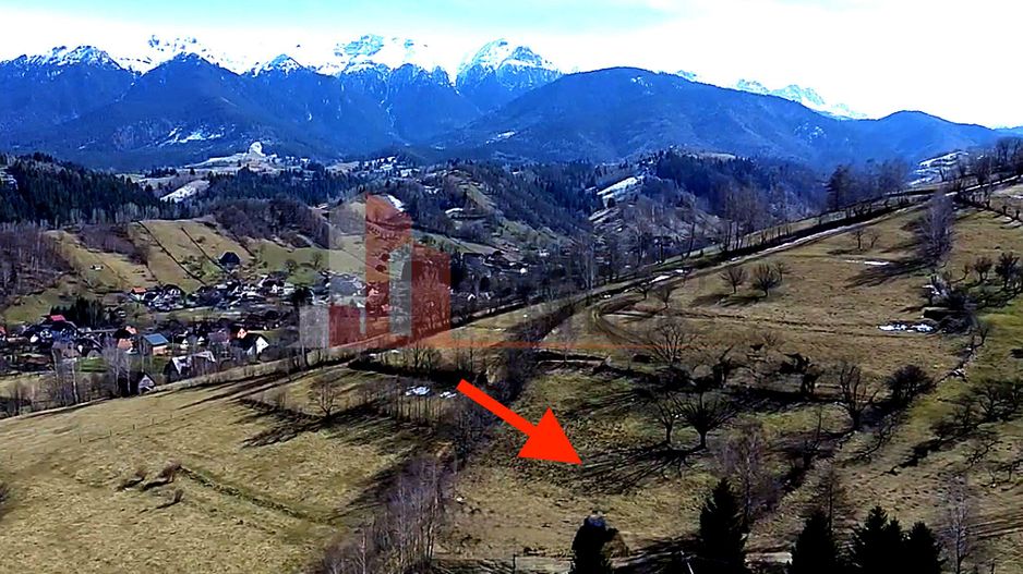 Teren Bran | 3.520 mp | Vedere Bucegi & Castelul Bran - Poză 4