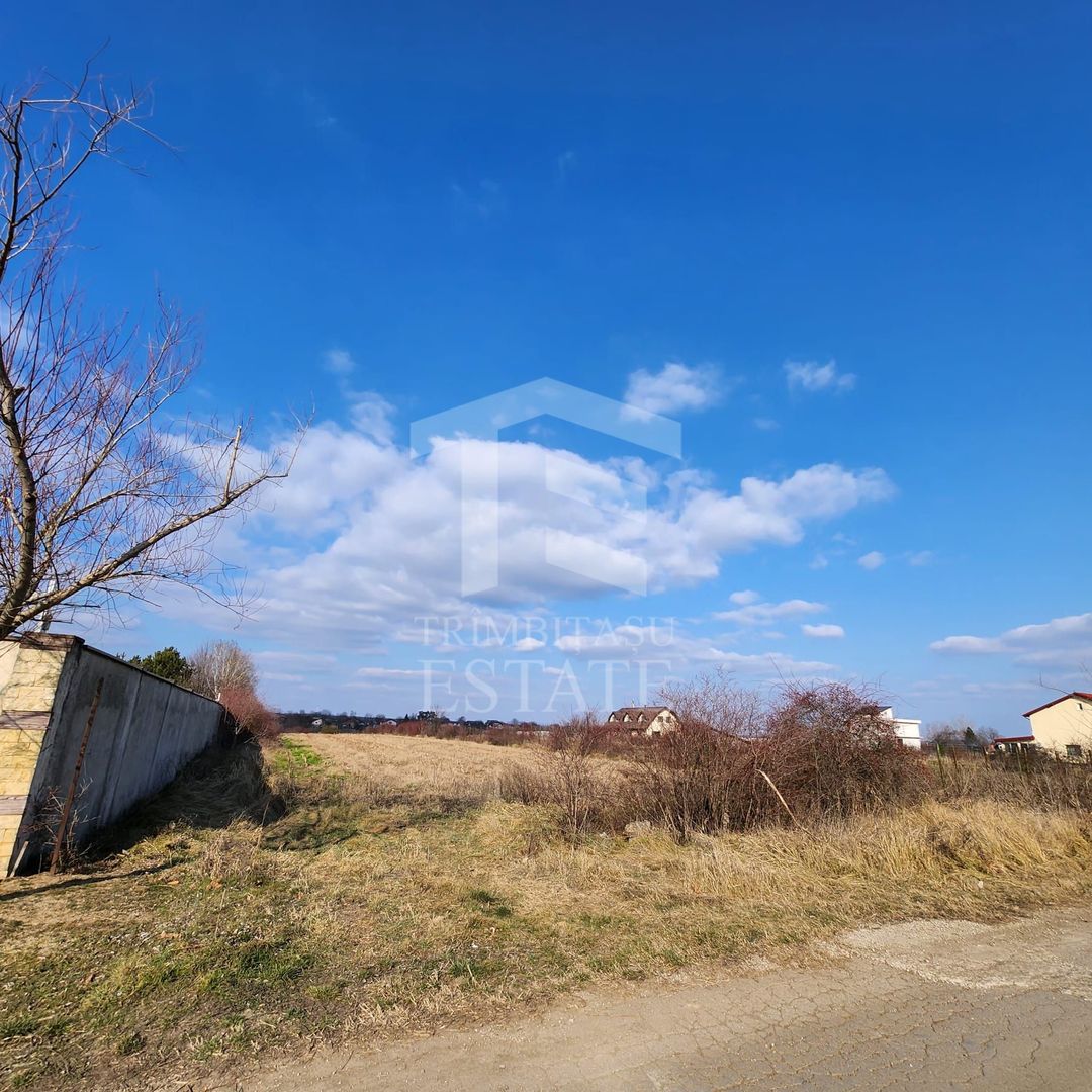 Teren cu deschidere lac Snagov Vladiceasca - Poză 6