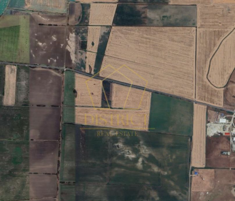 Teren extravilan la DN pentru PUZ | Sacalaz - Poză 2