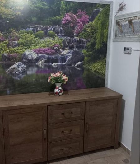 Apartament 2 camere semi, Micro 40,et 3 la strada - Poză 6