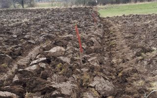 Teren de Vanzare - Gusterita - 5100mp - Intravilan - 0% Comision - Poză 5