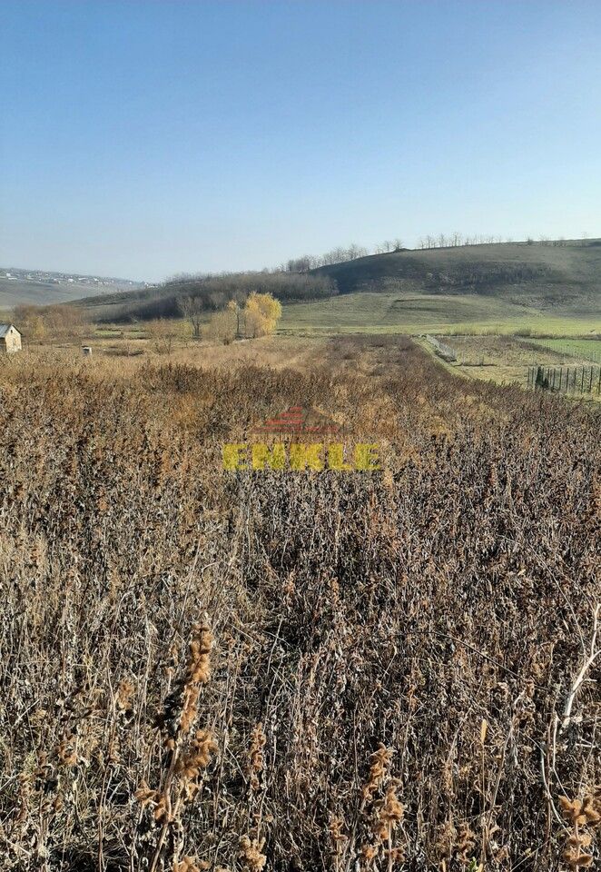 Loturi teren intravilan, situate in Curtesti, pret 30 euro/mp - Poză 1