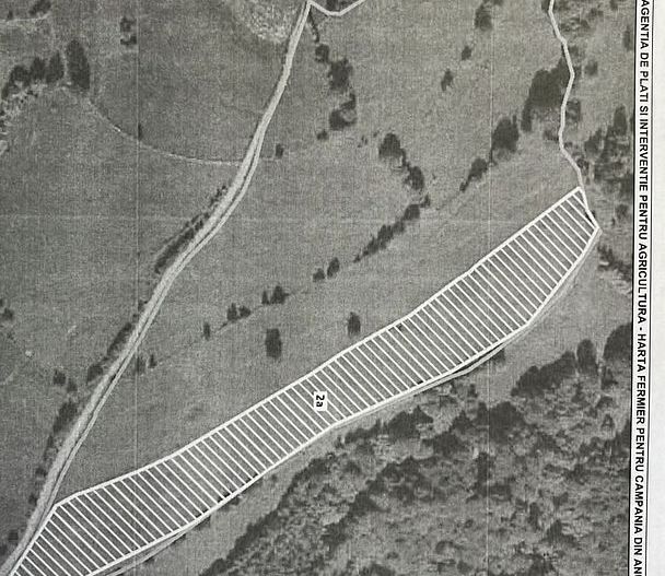 Teren extravilan 2ha, priveliste panoramica spre munti /Poiana Marului - Poză 13