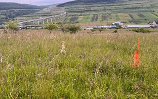 Teren in Valcele - Poză 7