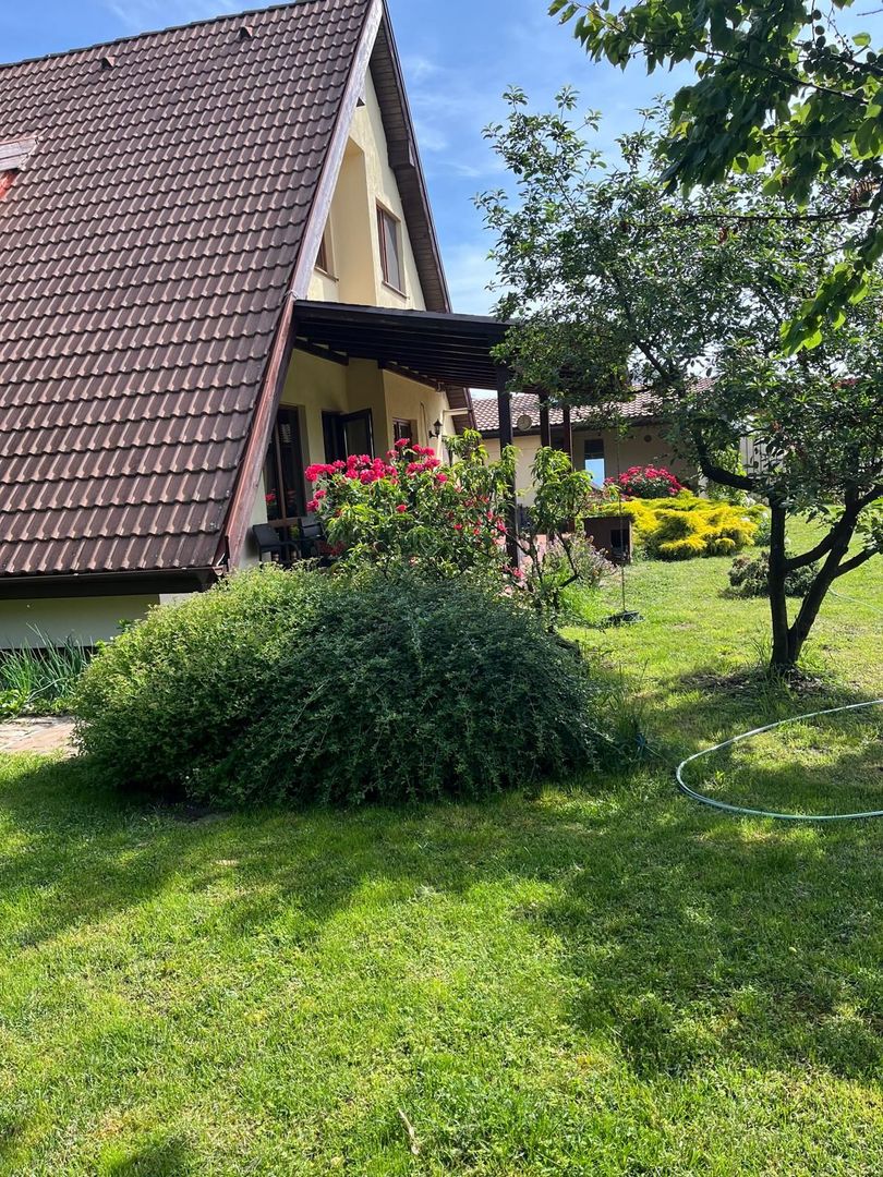 Casă elegantă, spațioasă, ideală pentru familie – Sanmihaiu Roman - Poză 32