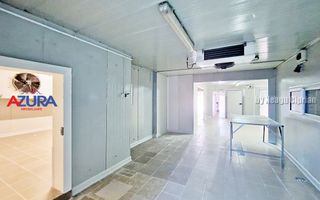AZURA Imobiliare - Hala Fabrica de procesare Carne - Poză 12