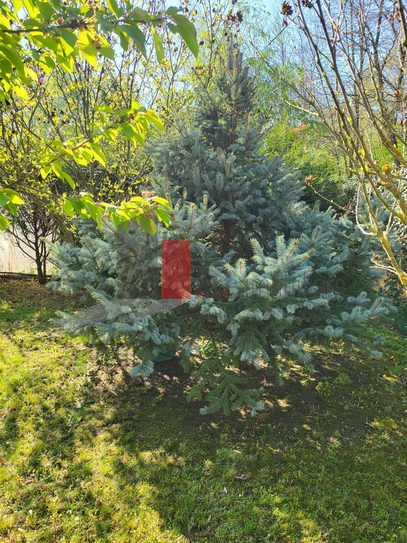 Silistea Snagovului | Casa de vis | Locatia de vis - Poză 6