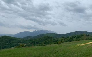 Teren extravilan 2ha, priveliste panoramica spre munti /Poiana Marului - Poză 3