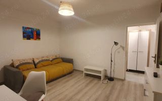 Apartament 1 camera Lunca Cetatuii - Poză 2
