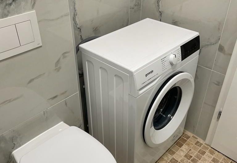 Apartament 1 camera  in Remetea  Mare - Poză 5