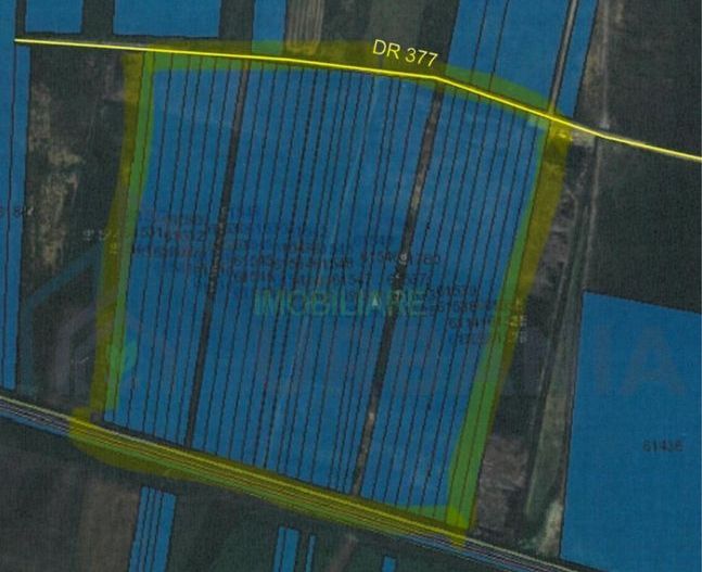 Teren 190.000 mp în Lețcani, lângă Parcul AgroIndustrial și GTM TRUCKS & CARS - Poză 3
