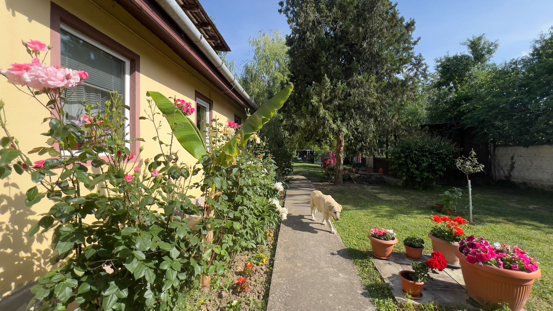 Locuinta individuala /teren 772mp/zona OBSERVATOR - Poză 36