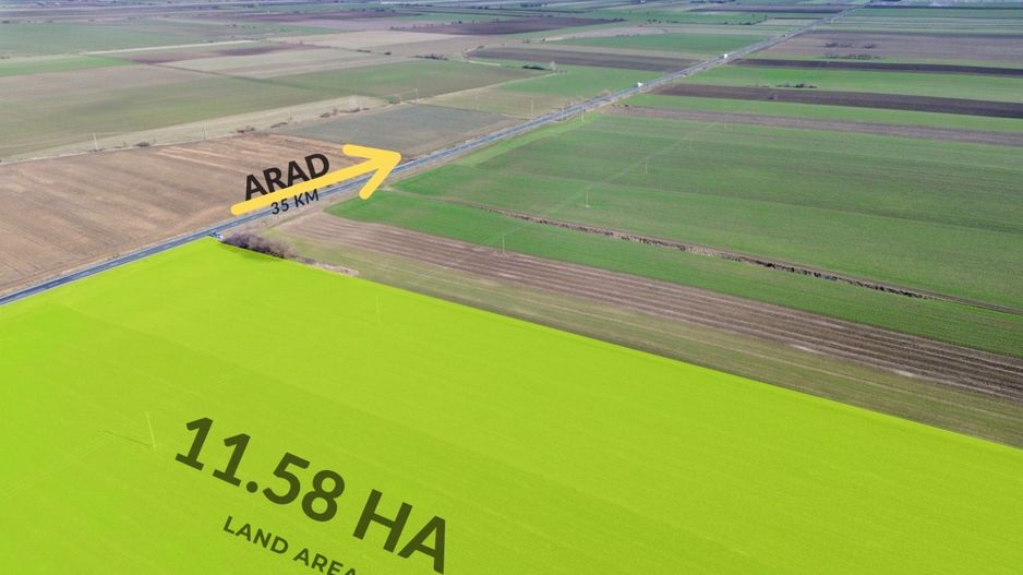 Teren folosinta conditii speciale | Oportunitate investitie | Nadlac - Poză 3