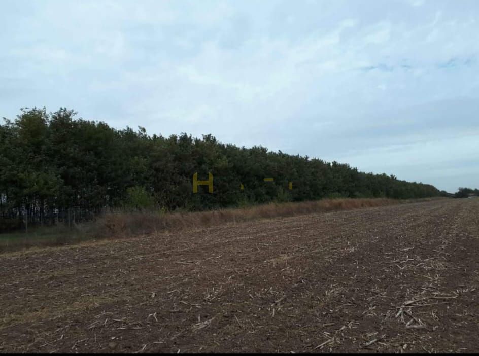 Teren Gruiu sat Lipia - Poză 2