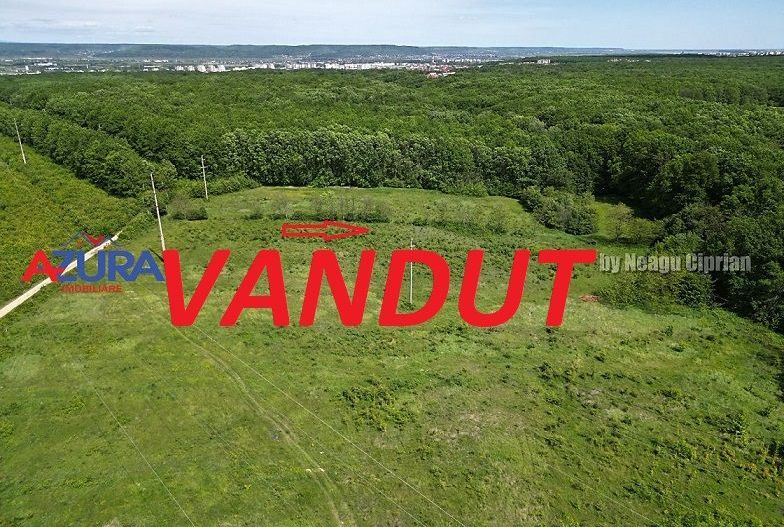Vanzare teren Balotesti, la padure - Poză 1